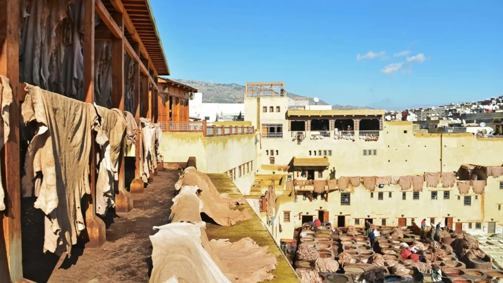 Medina Of Fez : Chouara Tannery